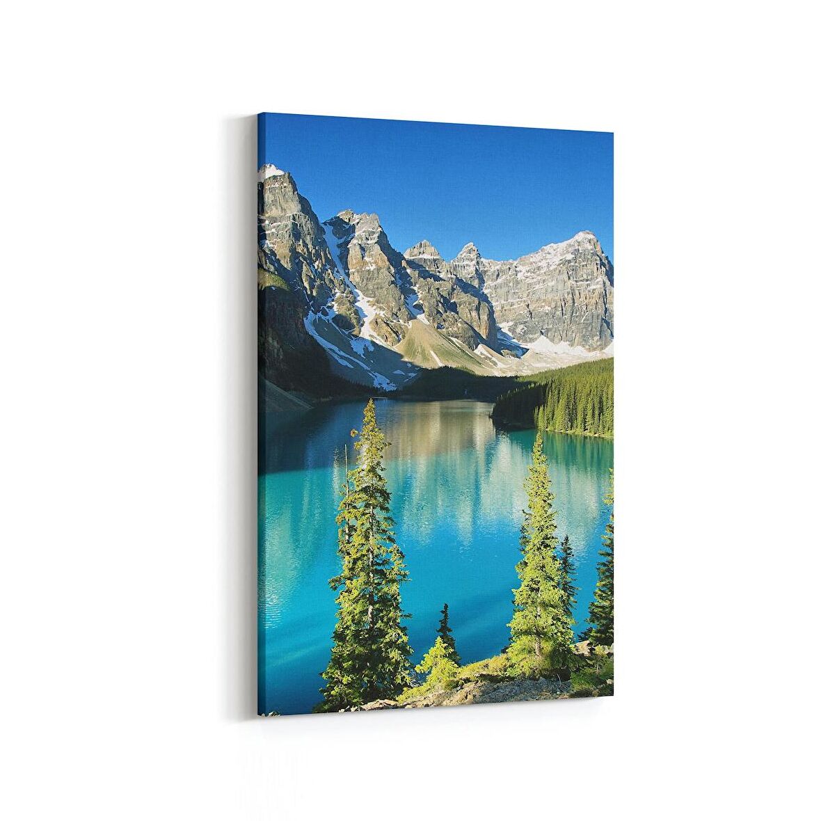 Olla 13594D Doğa / Manzara Görseli Dikey Kanvas Tablo (Ölçü: 60X90)
