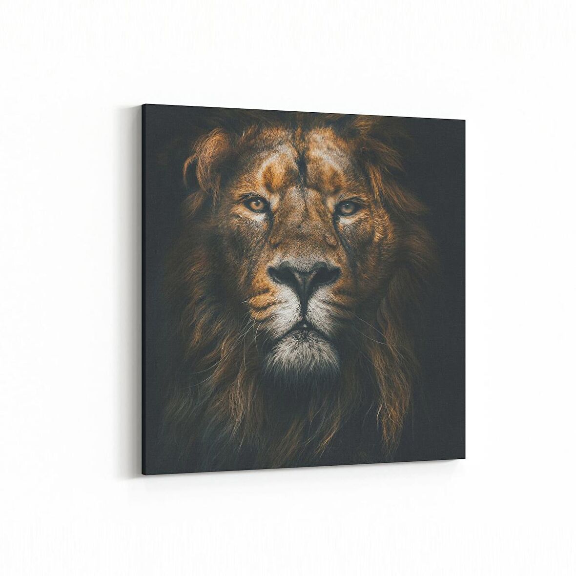 Olla 12520K Hayvanlar Alemi Görseli Kare Kanvas Tablo (Ölçü: 25X25)