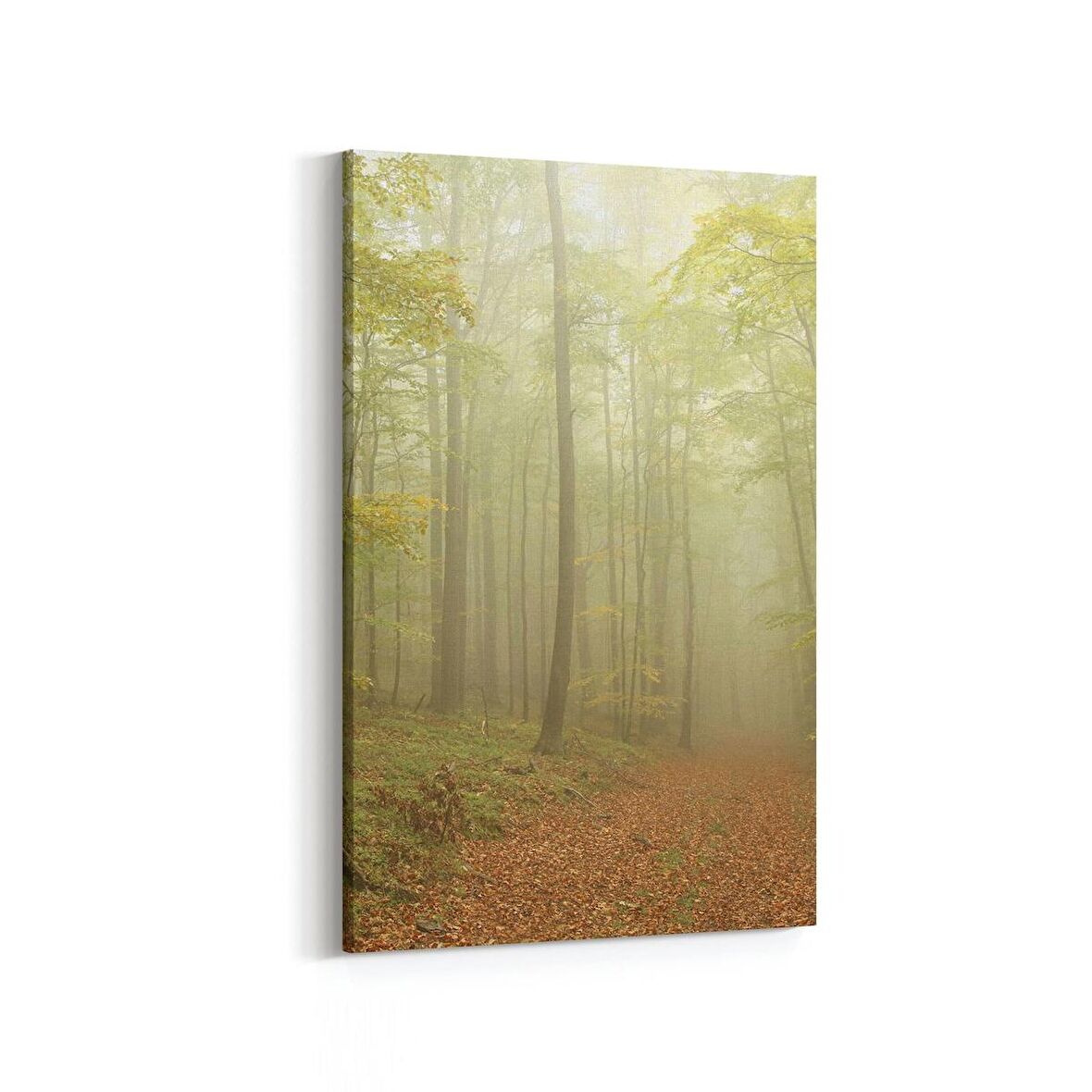 Olla 14593D Doğa / Manzara Görseli Dikey Kanvas Tablo (Ölçü: 20X30)