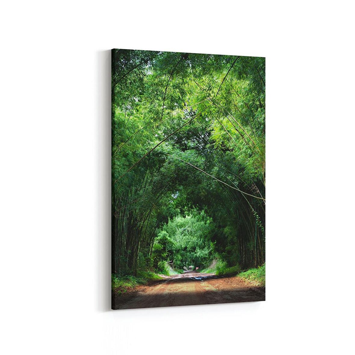 Olla 13254D Doğa / Manzara Görseli Dikey Kanvas Tablo (Ölçü: 20X30)