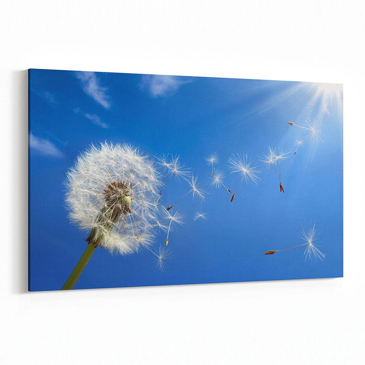 Olla 10666Y Ağaç Görseli Yatay Kanvas Tablo (Ölçü: 150X100)