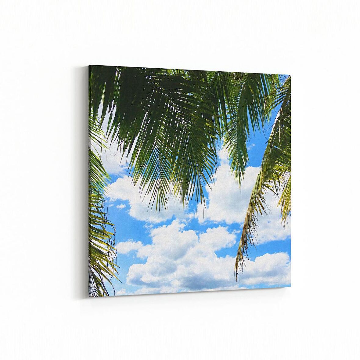 Olla 11492K Palmiye Ağacı Görseli Kare Kanvas Tablo (Ölçü: 60X60)