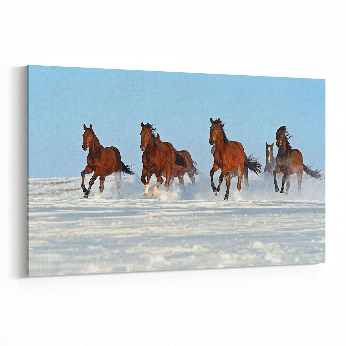 Olla 12519Y Hayvanlar Alemi Görseli Yatay Kanvas Tablo (Ölçü: 30X20)