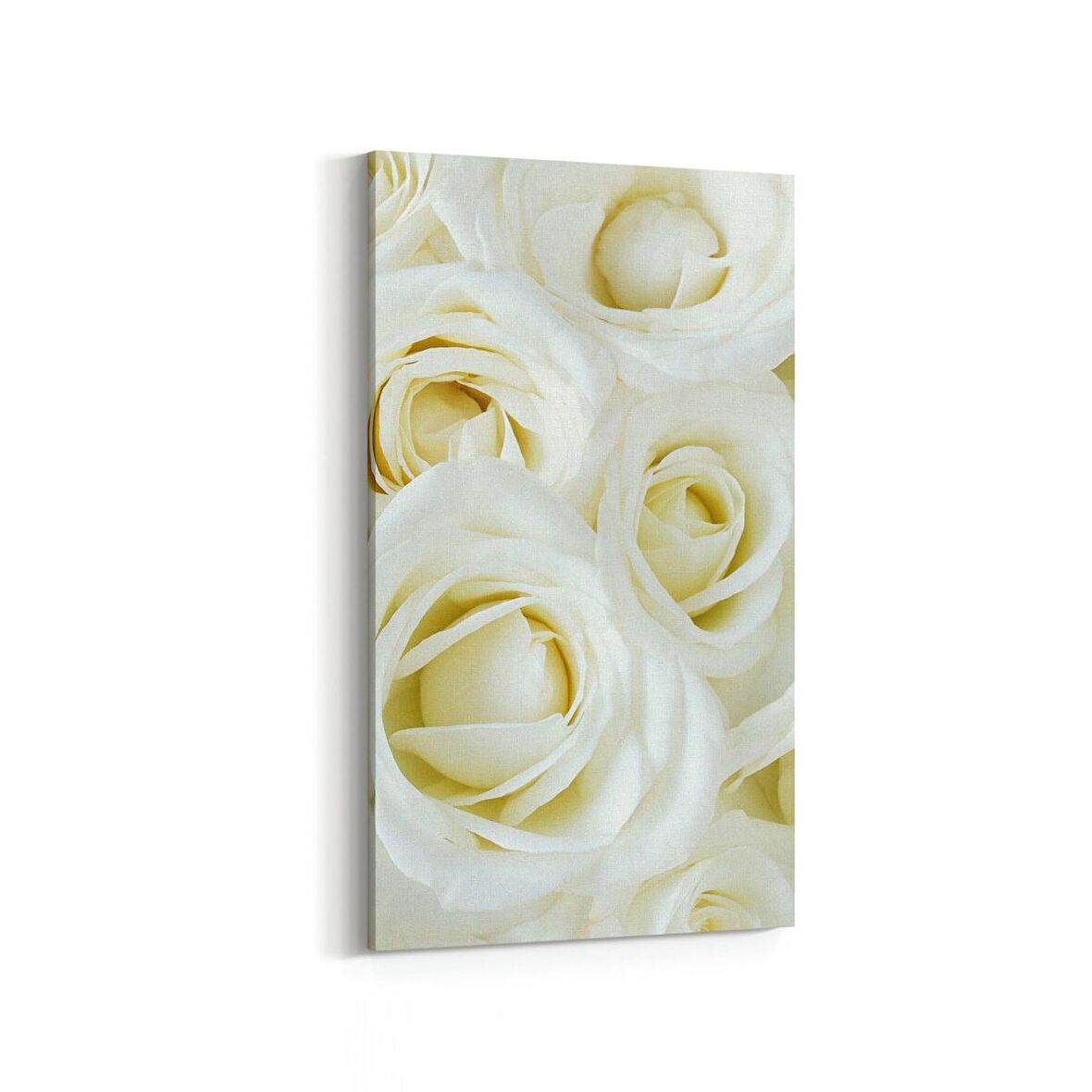 Olla 11646DD Çiçek Görseli Dikey Dar Kanvas Tablo (Ölçü: 30X60)