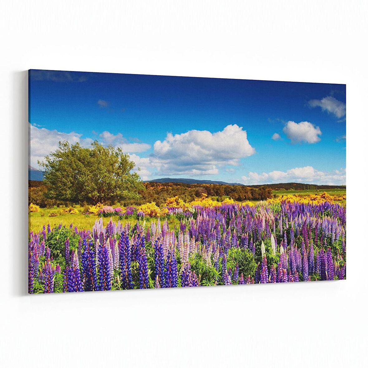 Olla 13787Y Doğa / Manzara Görseli Yatay Kanvas Tablo (Ölçü: 30X20)