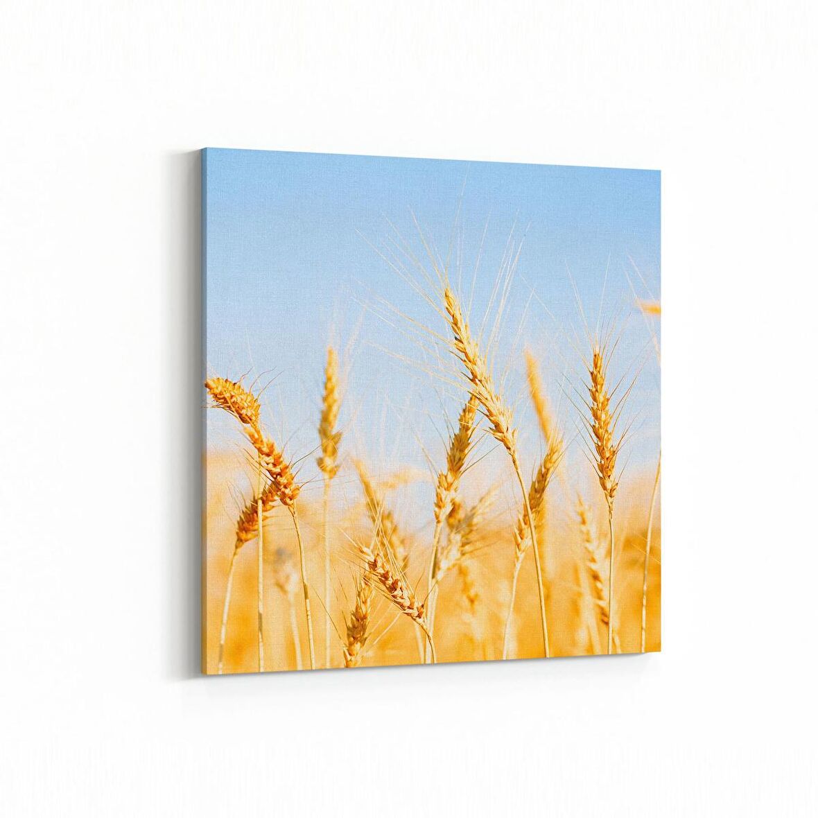 Olla 15291K Gıda Görseli Kare Kanvas Tablo (Ölçü: 25X25)