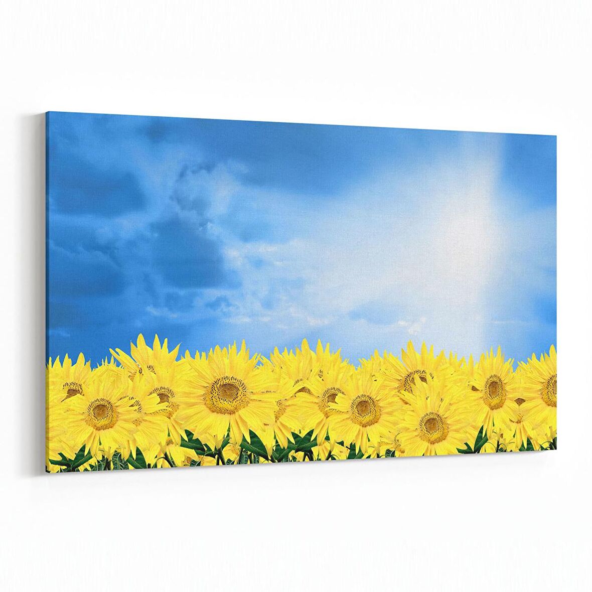 Olla 14540Y Doğa / Manzara Görseli Yatay Kanvas Tablo (Ölçü: 45X30)