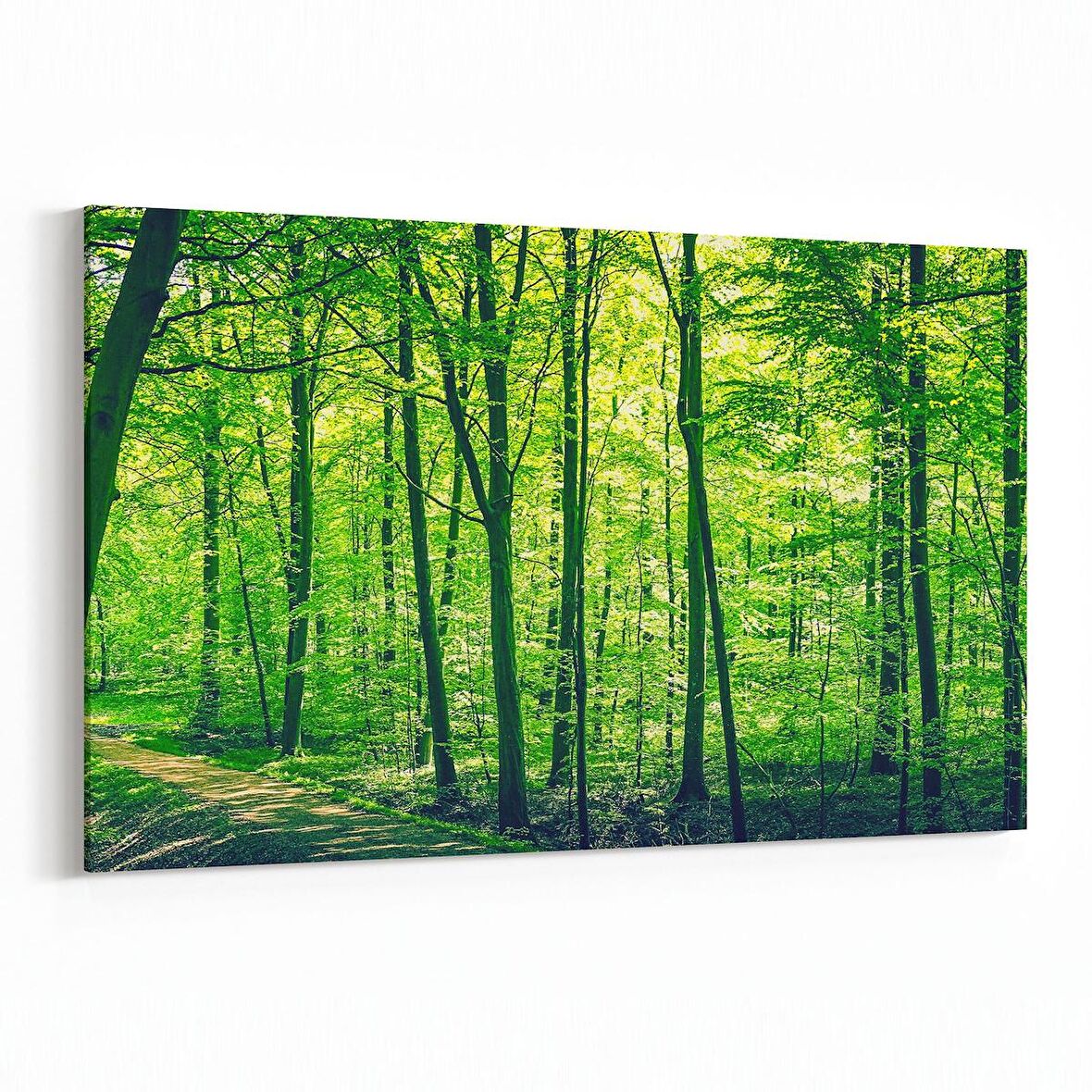 Olla 14090Y Doğa / Manzara Görseli Yatay Kanvas Tablo (Ölçü: 45X30)