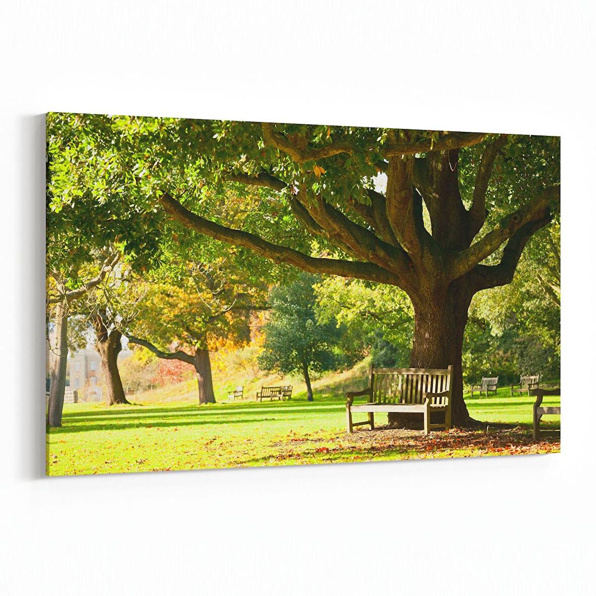 Olla 13431Y Doğa / Manzara Görseli Yatay Kanvas Tablo (Ölçü: 70X50)