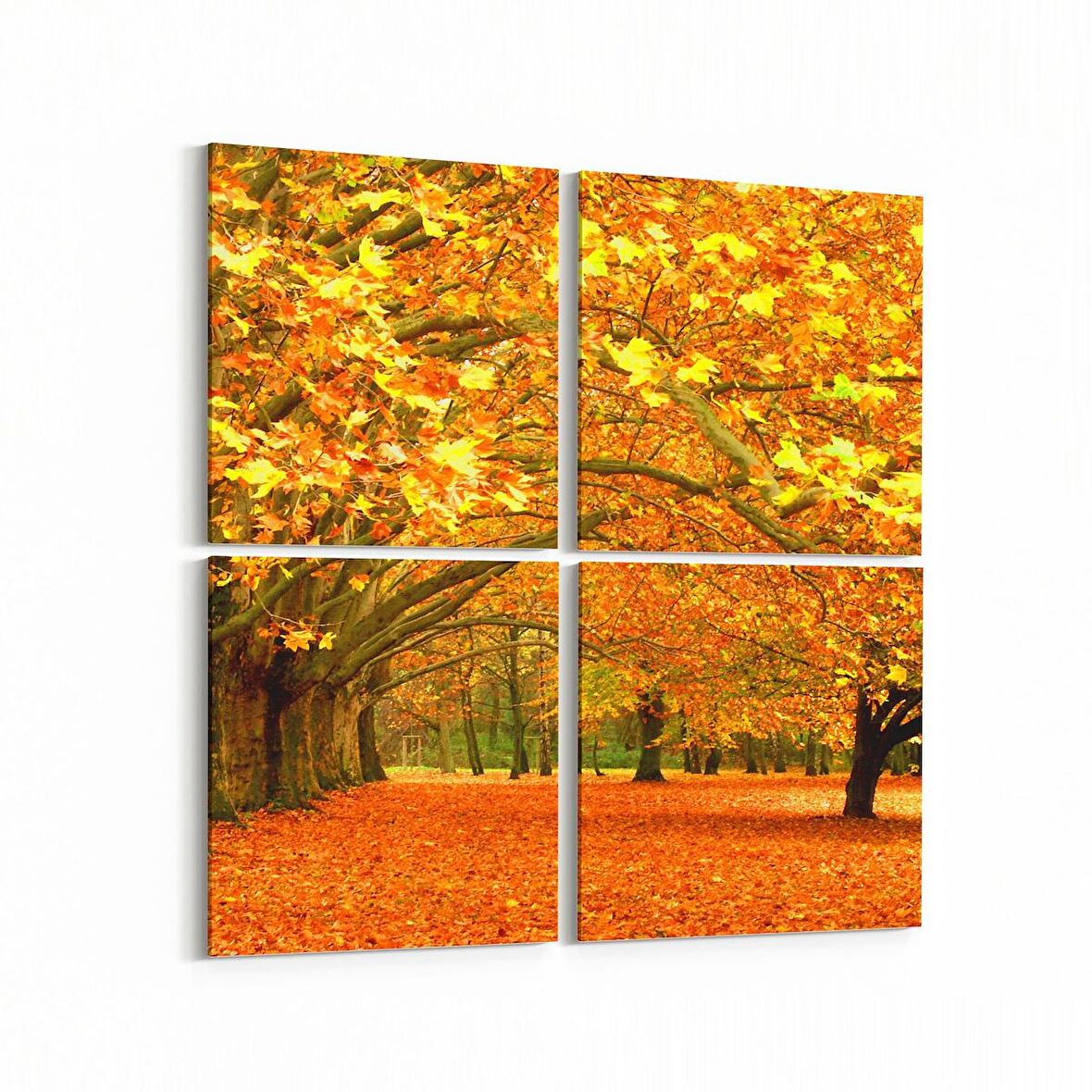 Olla 14088K4 Doğa / Manzara Görseli Kare 4'lü Kanvas Tablo (Ölçü: 145X145)