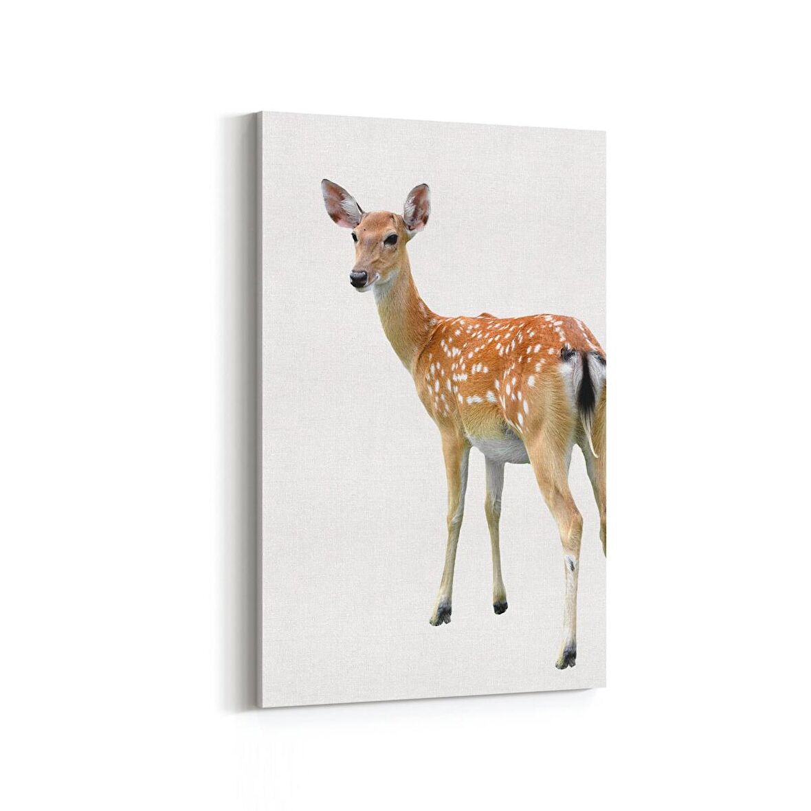 Olla 12516D Hayvanlar Alemi Görseli Dikey Kanvas Tablo (Ölçü: 60X90)