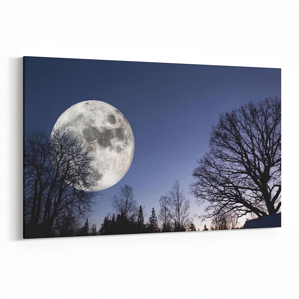 Olla 14673Y Gece Gökyüzü Görseli Yatay Kanvas Tablo (Ölçü: 30X20)