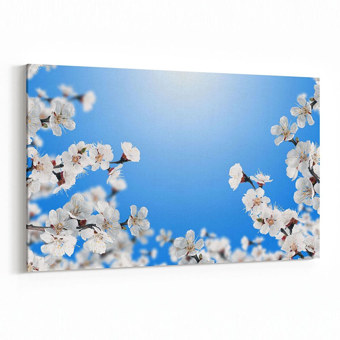 Olla 10837Y Ağaç Görseli Yatay Kanvas Tablo (Ölçü: 30X20)