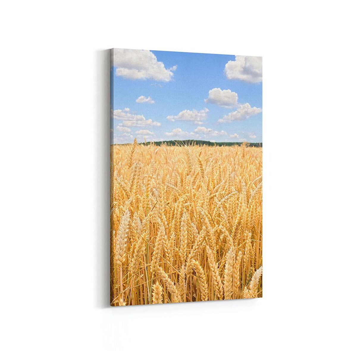 Olla 14284D Doğa / Manzara Görseli Dikey Kanvas Tablo (Ölçü: 60X90)
