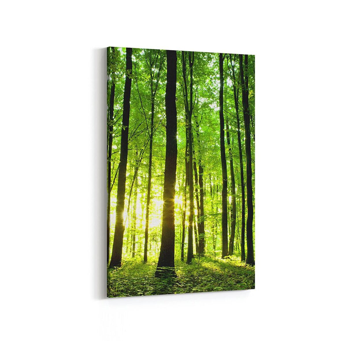 Olla 13250D Doğa / Manzara Görseli Dikey Kanvas Tablo (Ölçü: 100X150)