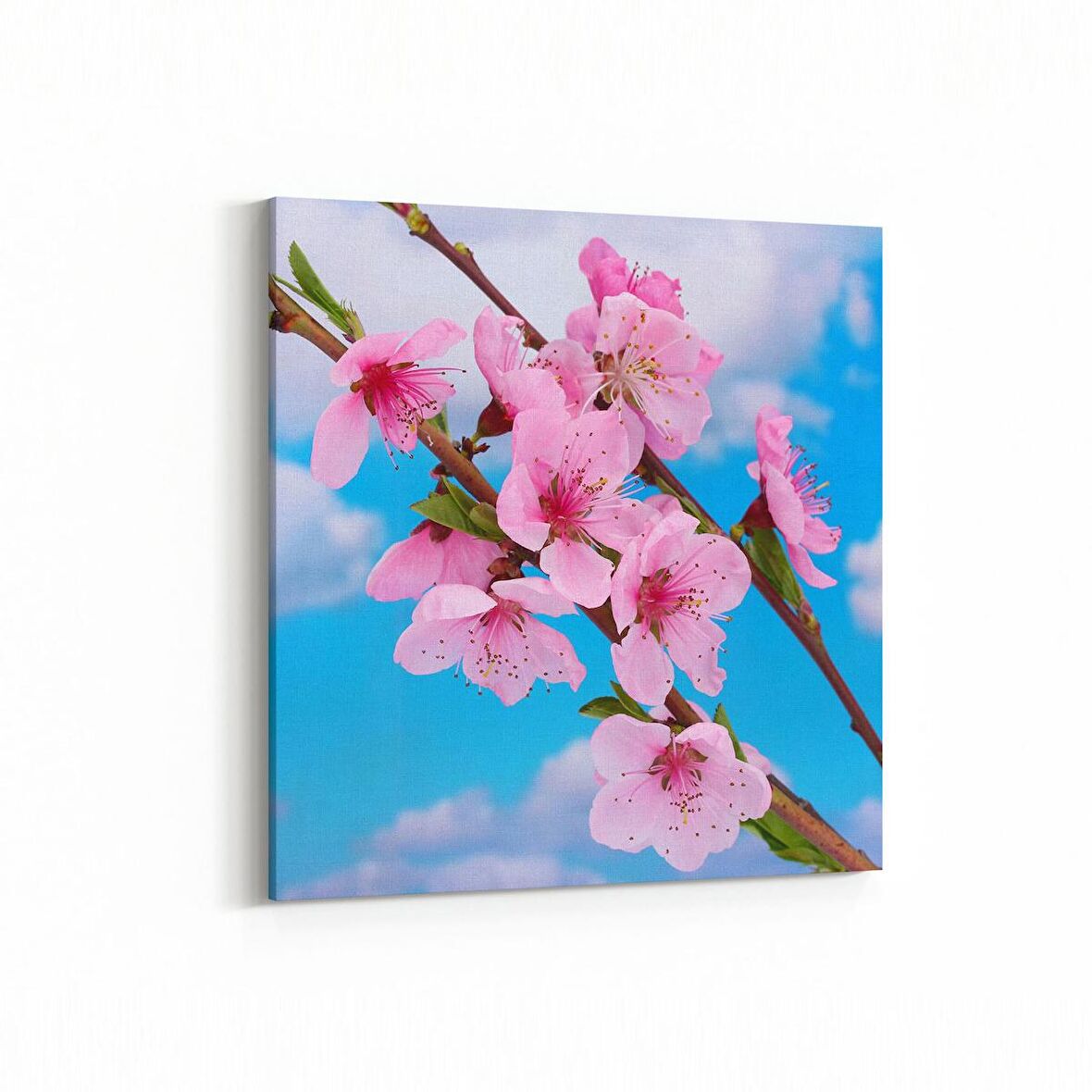 Olla 10545K Ağaç Görseli Kare Kanvas Tablo (Ölçü: 25X25)