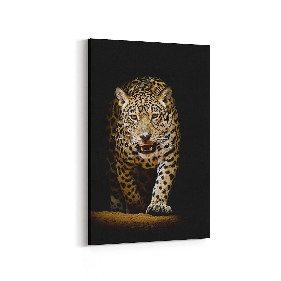 Olla 12477D Hayvanlar Alemi Görseli Dikey Kanvas Tablo (Ölçü: 100X150)