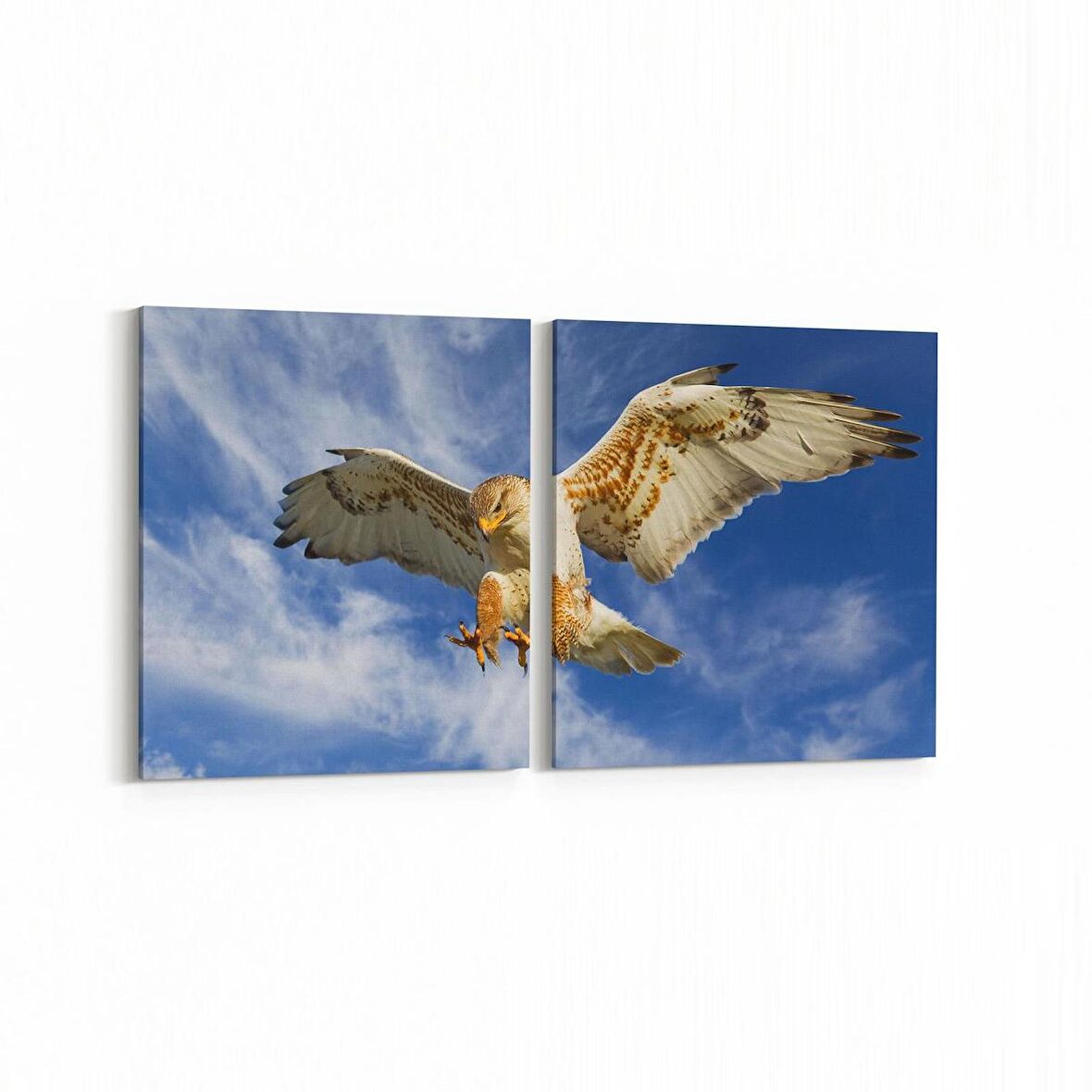 Olla 15852K2Y Gökyüzü Kuşlar Görseli Kare 2'li Yatay Kanvas Tablo (Ölçü: 145X70)