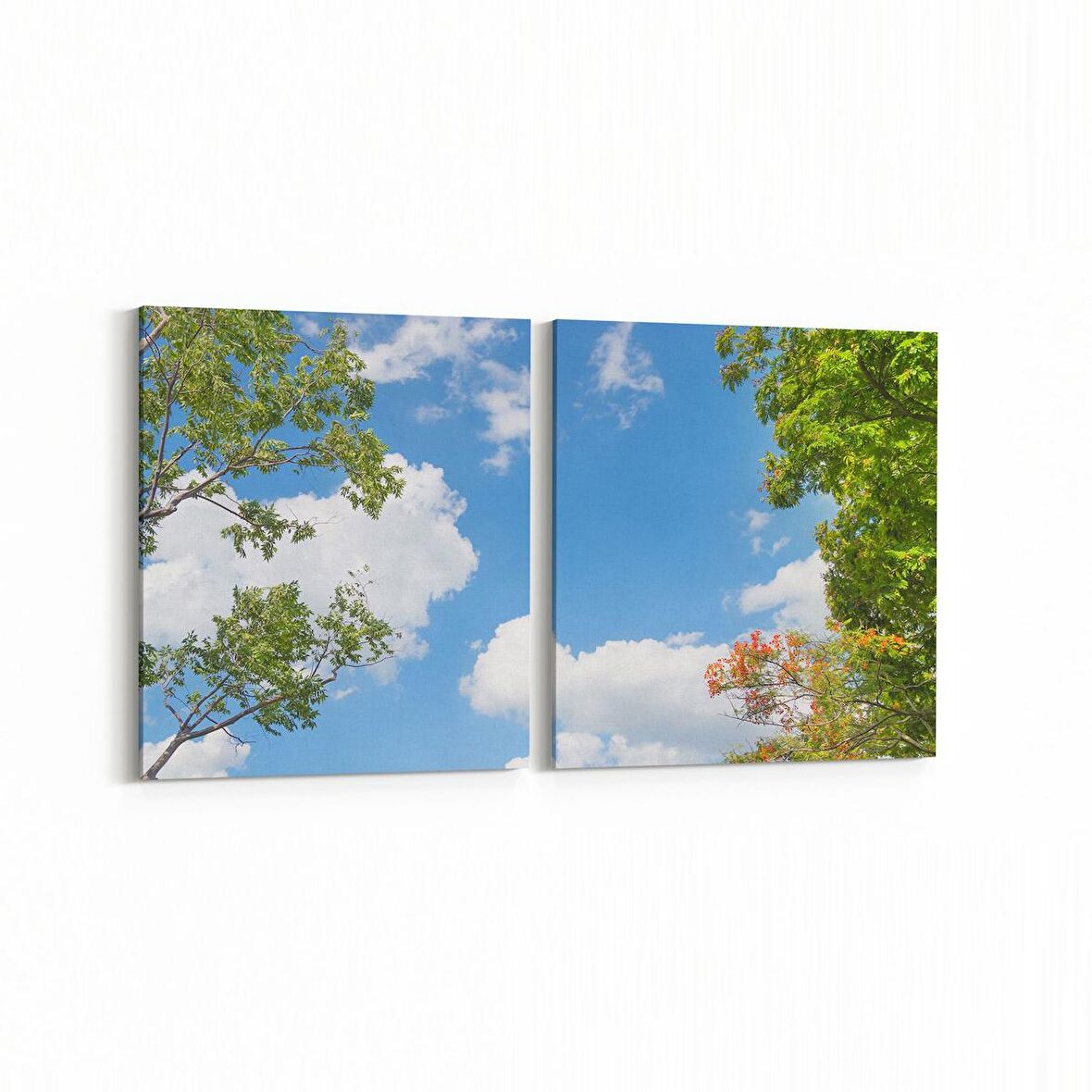 Olla 10772K2Y Ağaç Görseli Kare 2'li Yatay Kanvas Tablo (Ölçü: 85X40)