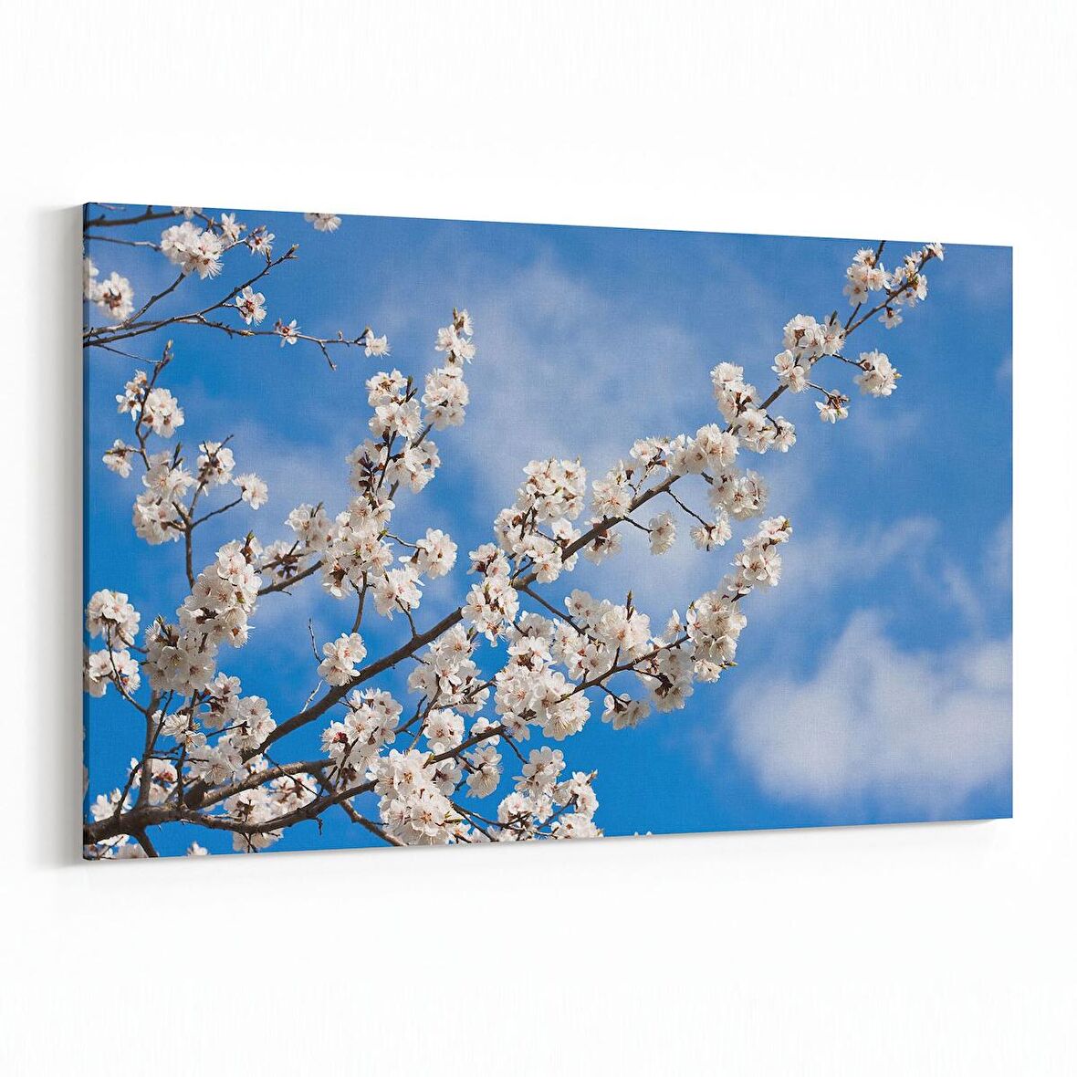 Olla 10700Y Ağaç Görseli Yatay Kanvas Tablo (Ölçü: 90X60)