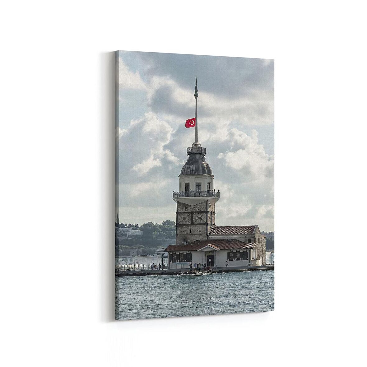 Olla 18665D Yapı Görseli Dikey Kanvas Tablo (Ölçü: 60X90)