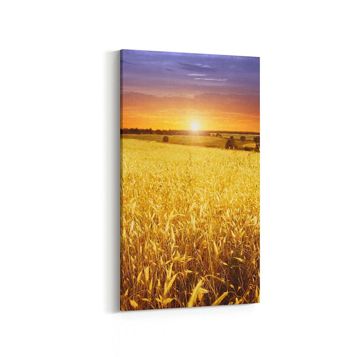 Olla 16076DD Günbatımı Görseli Dikey Dar Kanvas Tablo (Ölçü: 30X60)