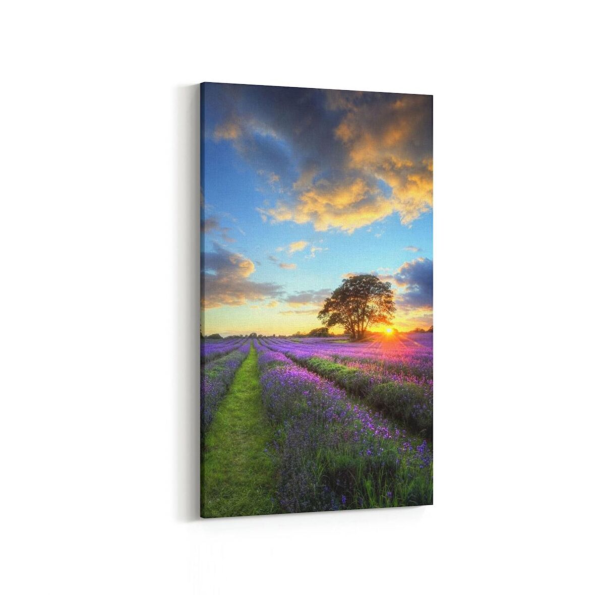 Olla 16114DD Günbatımı Görseli Dikey Dar Kanvas Tablo (Ölçü: 60X120)