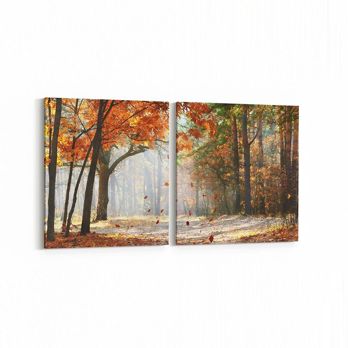 Olla 14558K2Y Doğa / Manzara Görseli Kare 2'li Yatay Kanvas Tablo (Ölçü: 85X40)