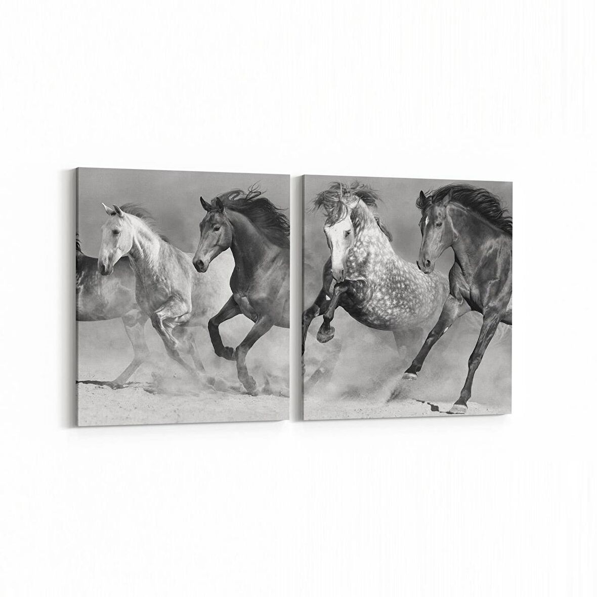 Olla 12462K2Y Hayvanlar Alemi Görseli Kare 2'li Yatay Kanvas Tablo (Ölçü: 85X40)