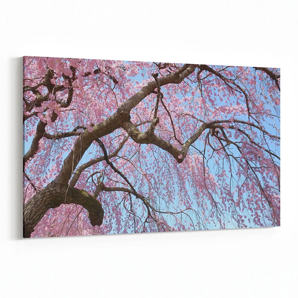 Olla 10575Y Ağaç Görseli Yatay Kanvas Tablo (Ölçü: 150X100)