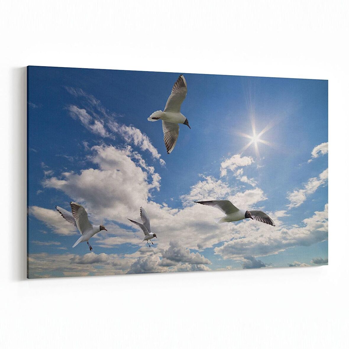 Olla 15843Y Gökyüzü Kuşlar Görseli Yatay Kanvas Tablo (Ölçü: 30X20)