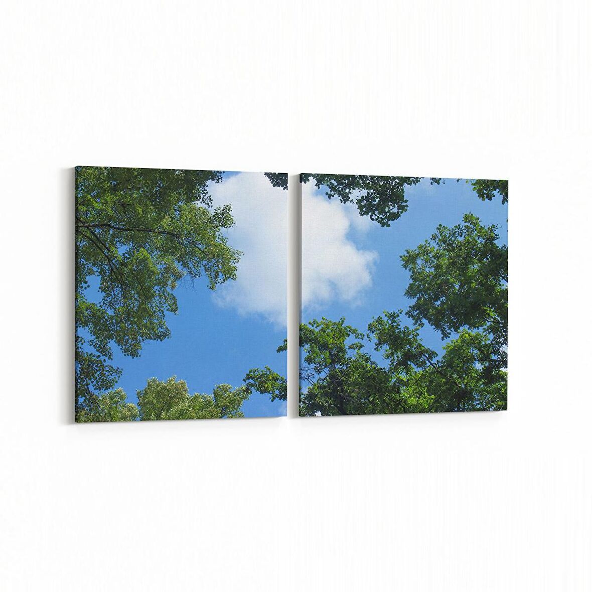 Olla 10701K2Y Ağaç Görseli Kare 2'li Yatay Kanvas Tablo (Ölçü: 65X30)