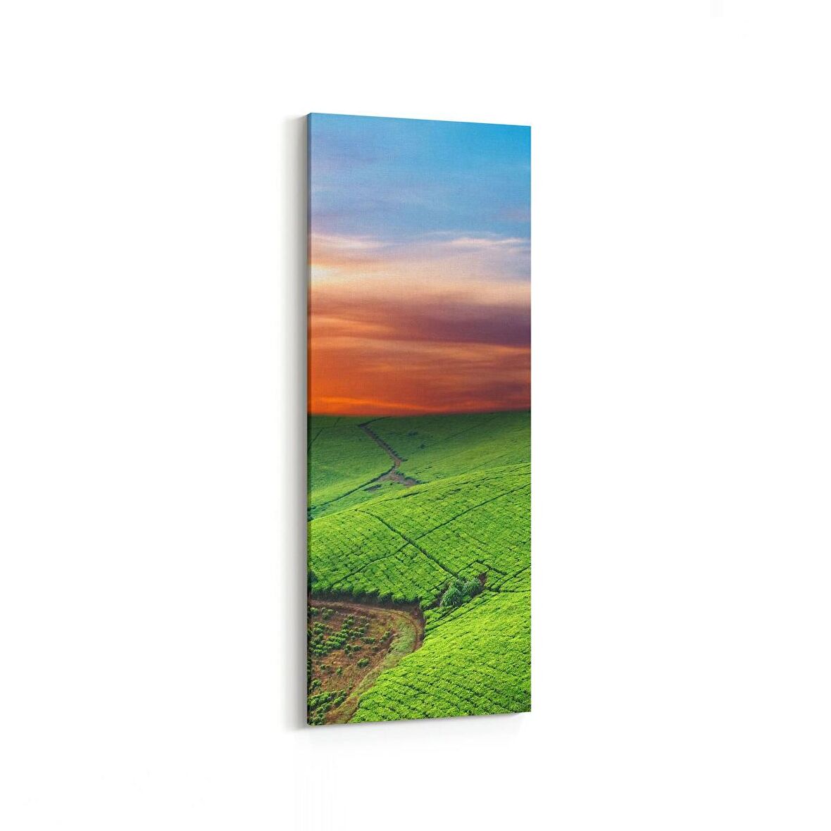 Olla 15905DI Günbatımı Görseli Dikey İnce Kanvas Tablo (Ölçü: 40X120)