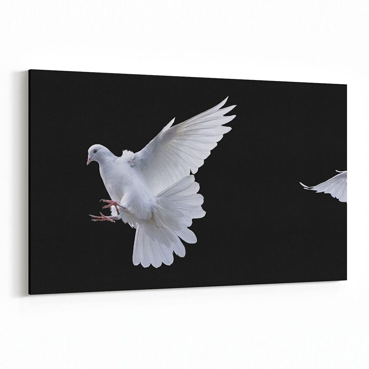 Olla 12678Y Hayvanlar Alemi Görseli Yatay Kanvas Tablo (Ölçü: 30X20)