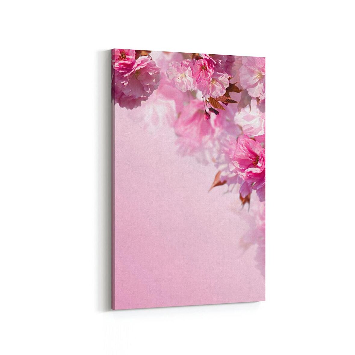 Olla 11754D Orkide Çiçek Görseli Dikey Kanvas Tablo (Ölçü: 100X150)