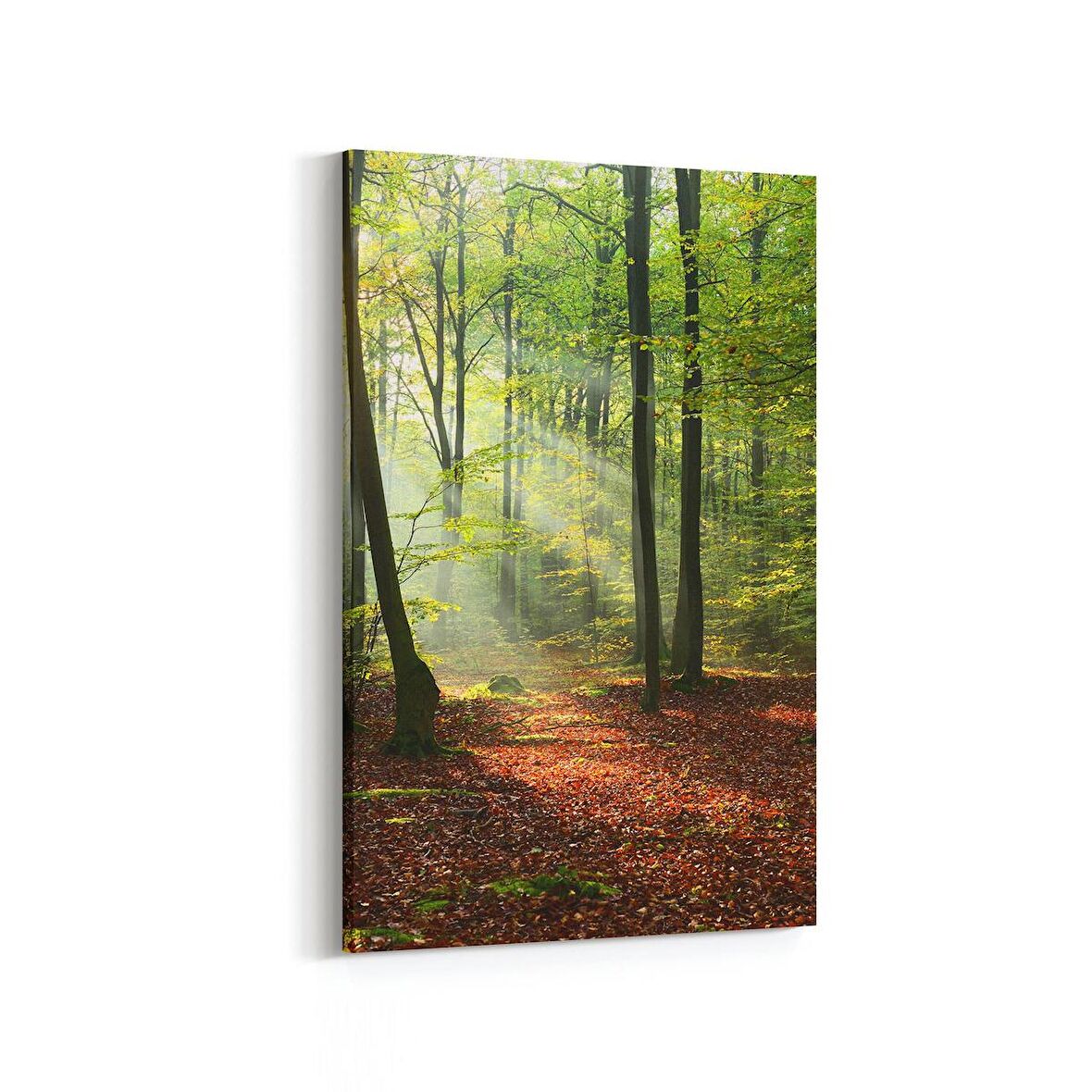 Olla 14355D Doğa / Manzara Görseli Dikey Kanvas Tablo (Ölçü: 60X90)