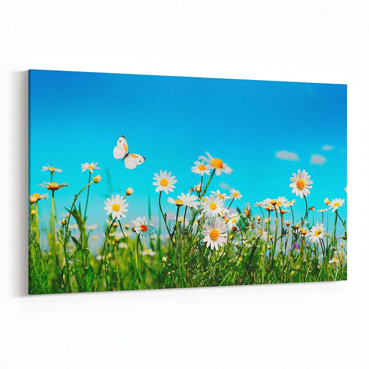 Olla 13263Y Doğa / Manzara Görseli Yatay Kanvas Tablo (Ölçü: 120X80)