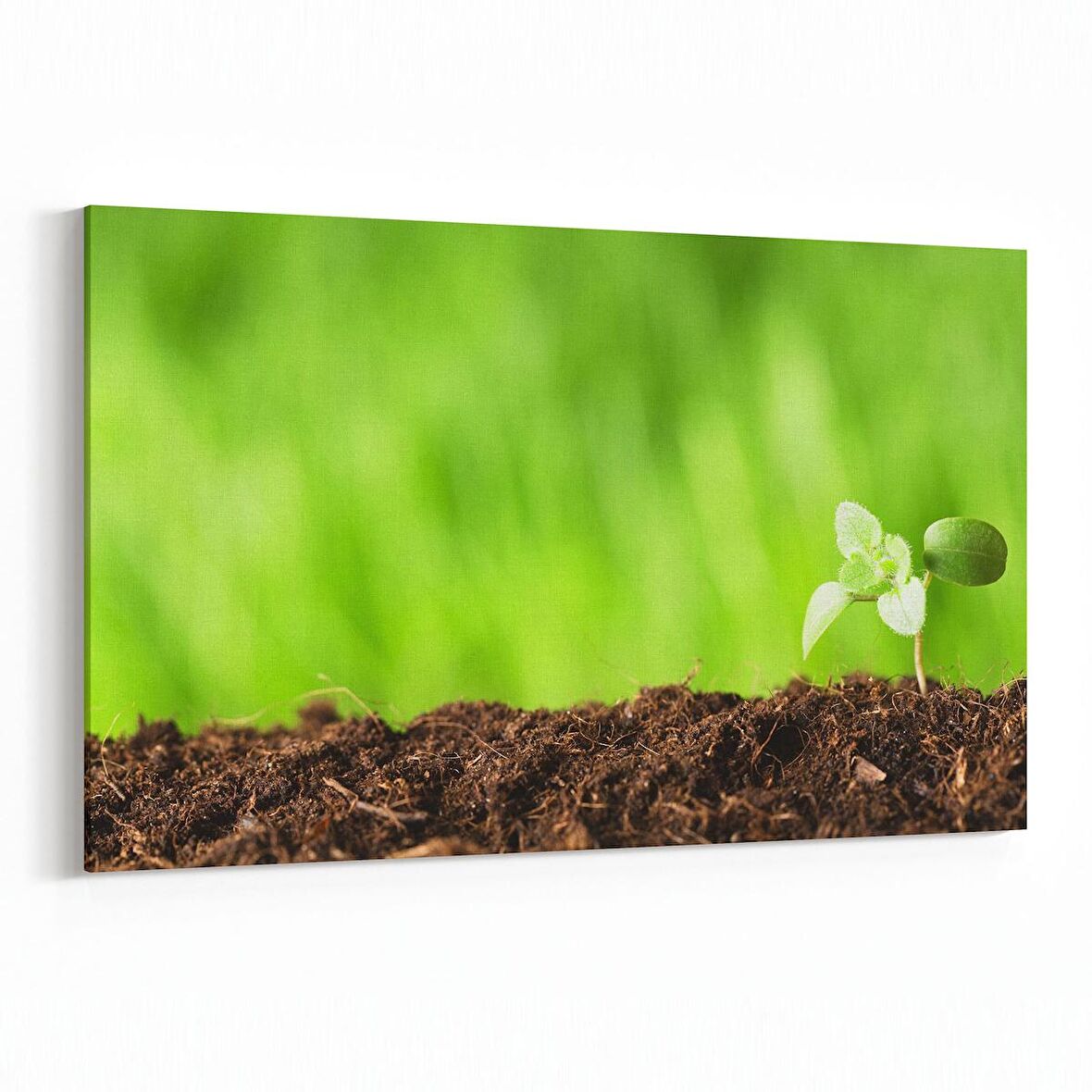 Olla 14288Y Doğa / Manzara Görseli Yatay Kanvas Tablo (Ölçü: 150X100)