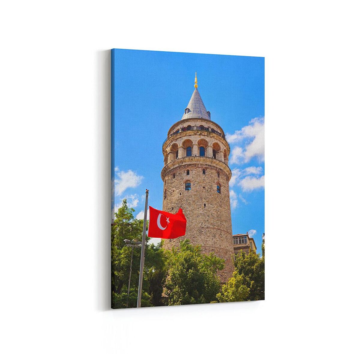 Olla 17971D Yapı Görseli Dikey Kanvas Tablo (Ölçü: 100X150)