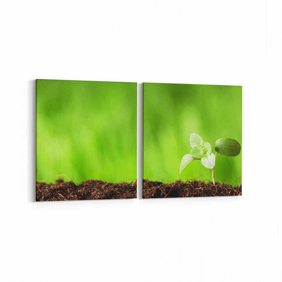 Olla 14287K2Y Doğa / Manzara Görseli Kare 2'li Yatay Kanvas Tablo (Ölçü: 65X30)