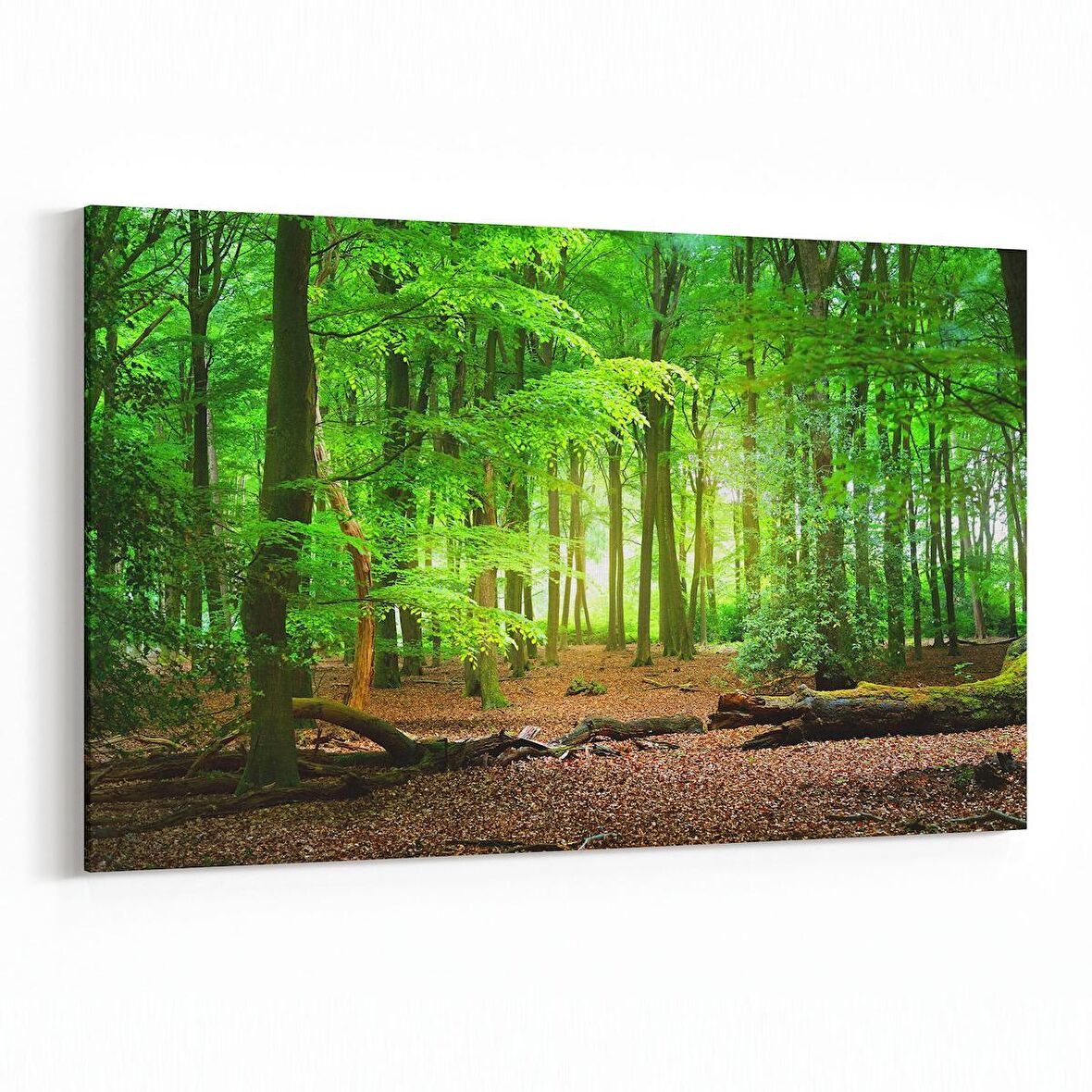 Olla 13851Y Doğa / Manzara Görseli Yatay Kanvas Tablo (Ölçü: 120X80)