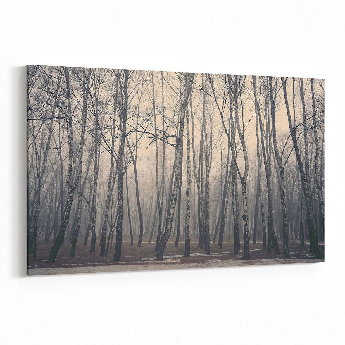 Olla 13155Y Doğa / Manzara Görseli Yatay Kanvas Tablo (Ölçü: 90X60)