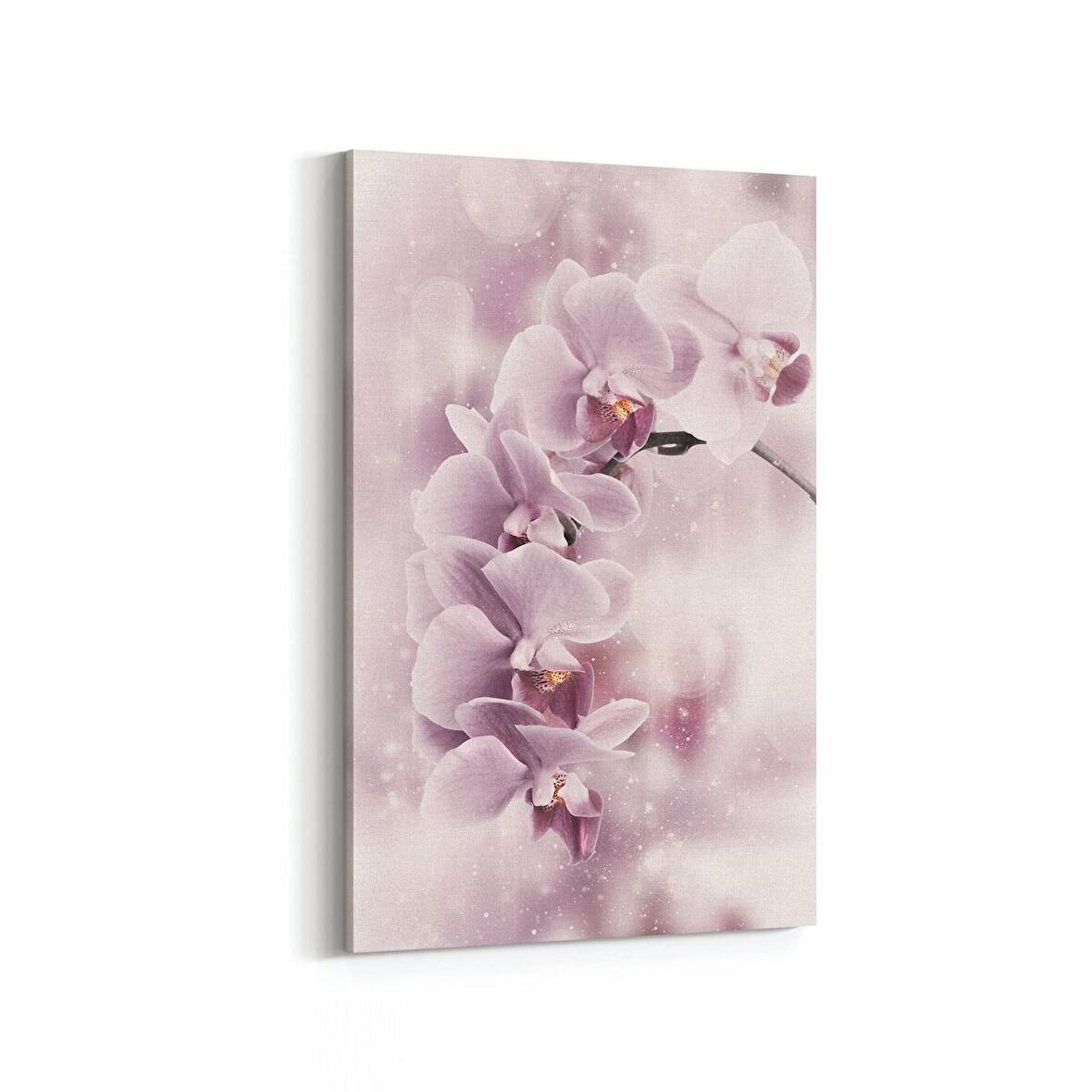 Olla 11702D Orkide Çiçek Görseli Dikey Kanvas Tablo (Ölçü: 20X30)