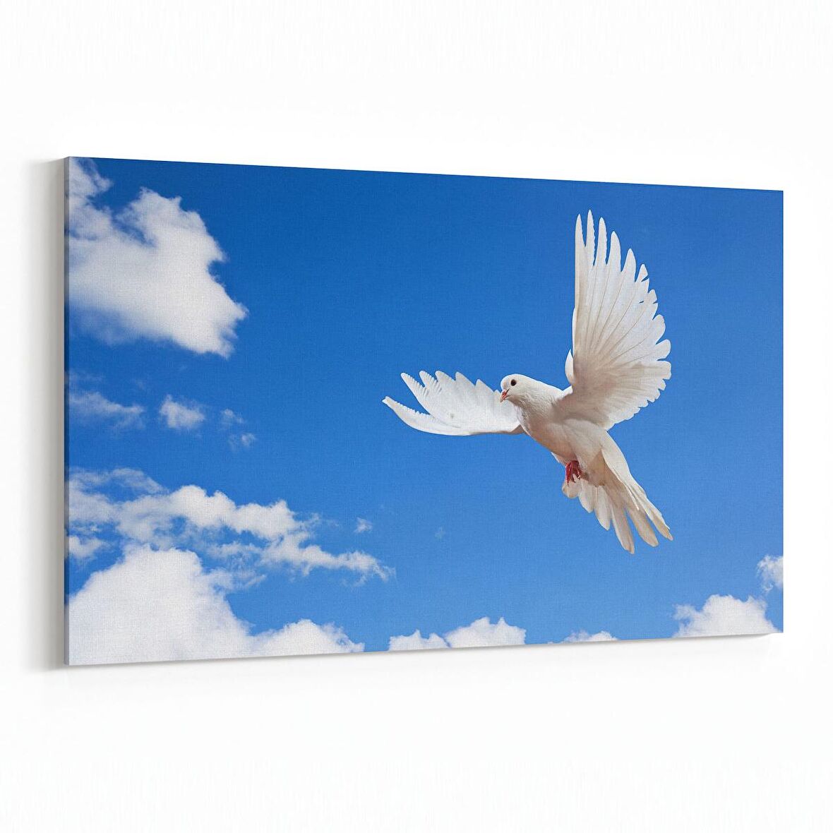 Olla 15875Y Gökyüzü Kuşlar Görseli Yatay Kanvas Tablo (Ölçü: 150X100)