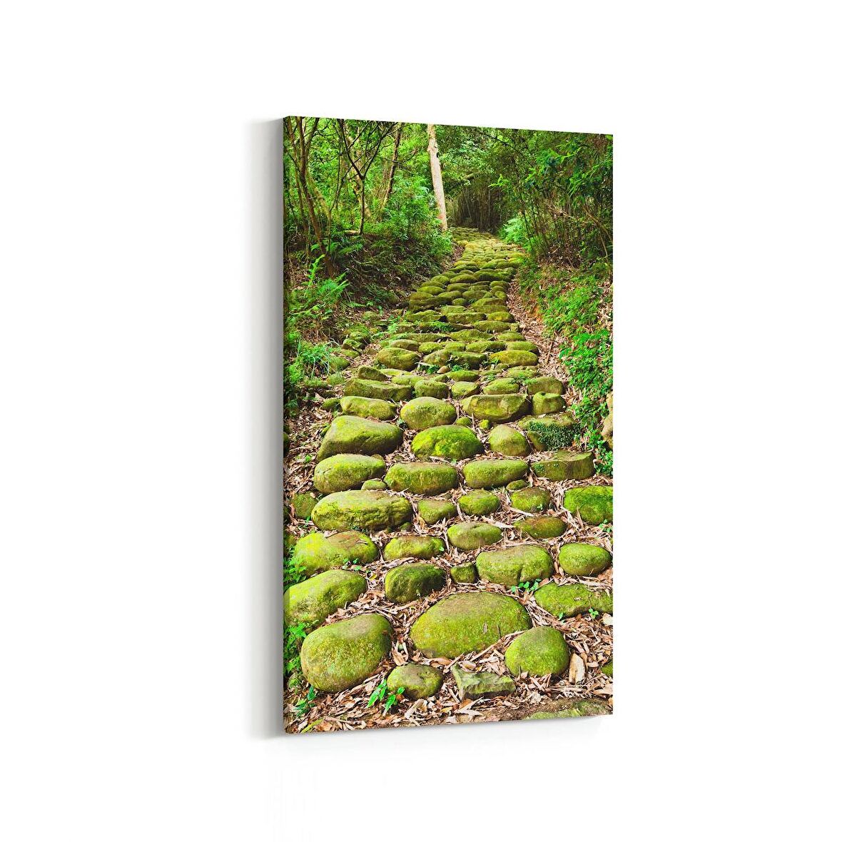 Olla 14169DD Doğa / Manzara Görseli Dikey Dar Kanvas Tablo (Ölçü: 40X80)