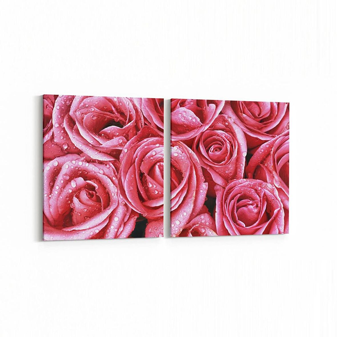 Olla 11640K2Y Çiçek Görseli Kare 2'li Yatay Kanvas Tablo (Ölçü: 145X70)