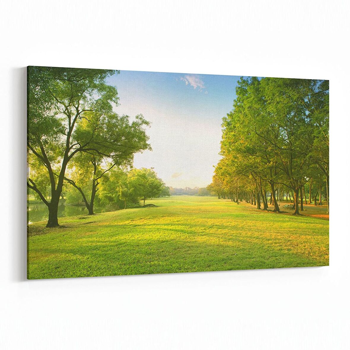 Olla 13735Y Doğa / Manzara Görseli Yatay Kanvas Tablo (Ölçü: 90X60)