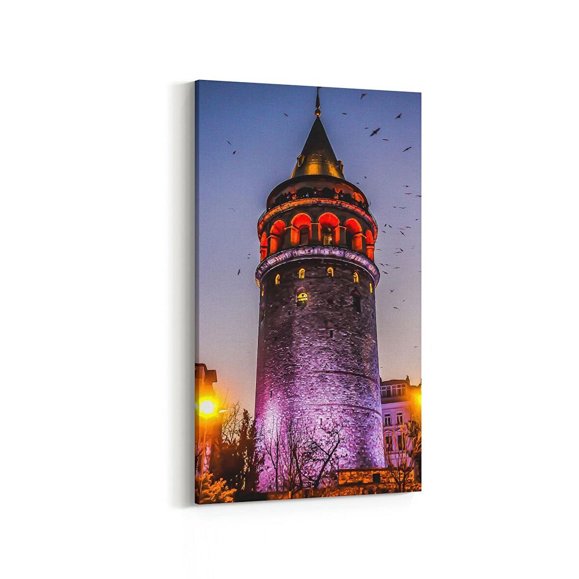 Olla 18722DD Yapı Görseli Dikey Dar Kanvas Tablo (Ölçü: 30X60)