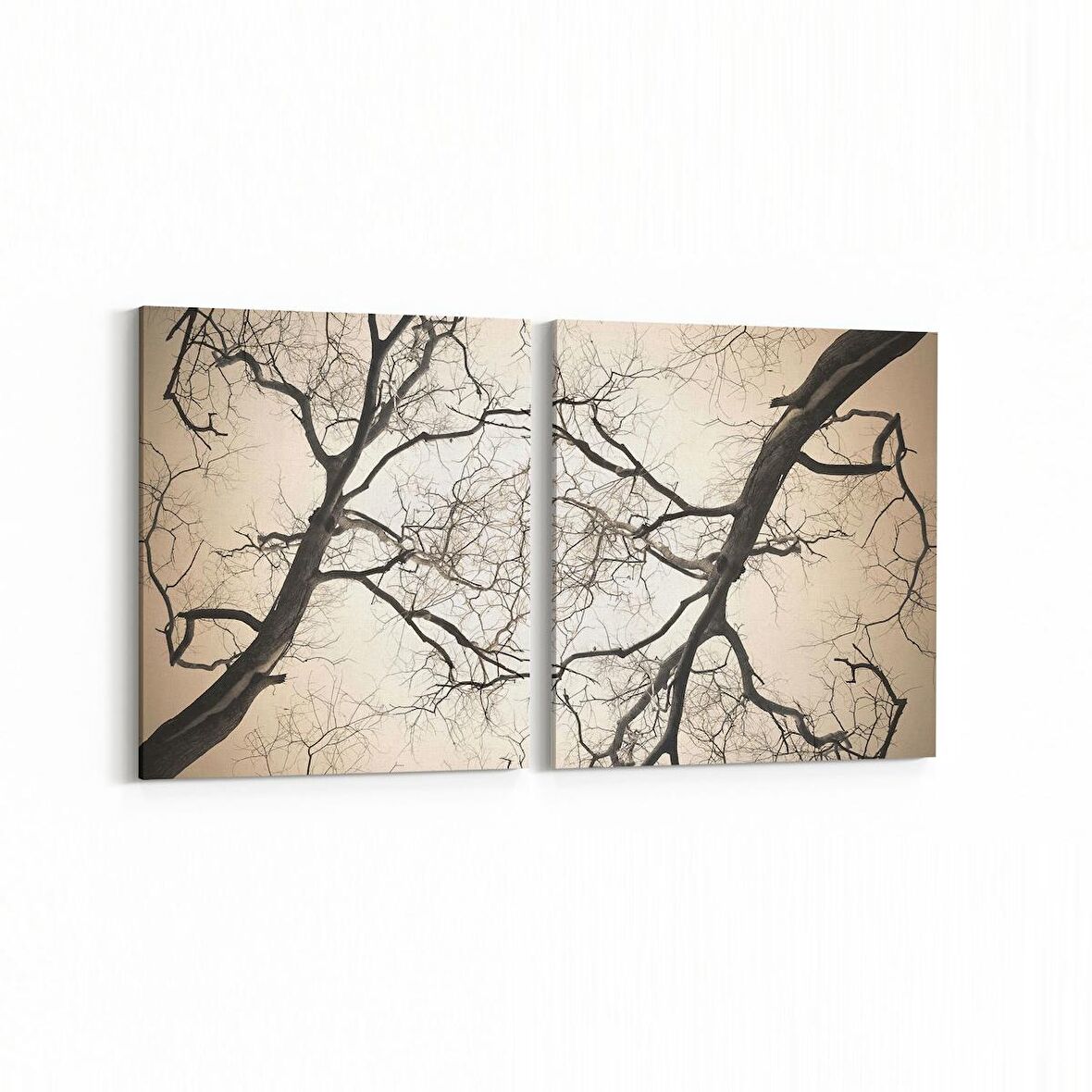 Olla 10608K2Y Ağaç Görseli Kare 2'li Yatay Kanvas Tablo (Ölçü: 145X70)