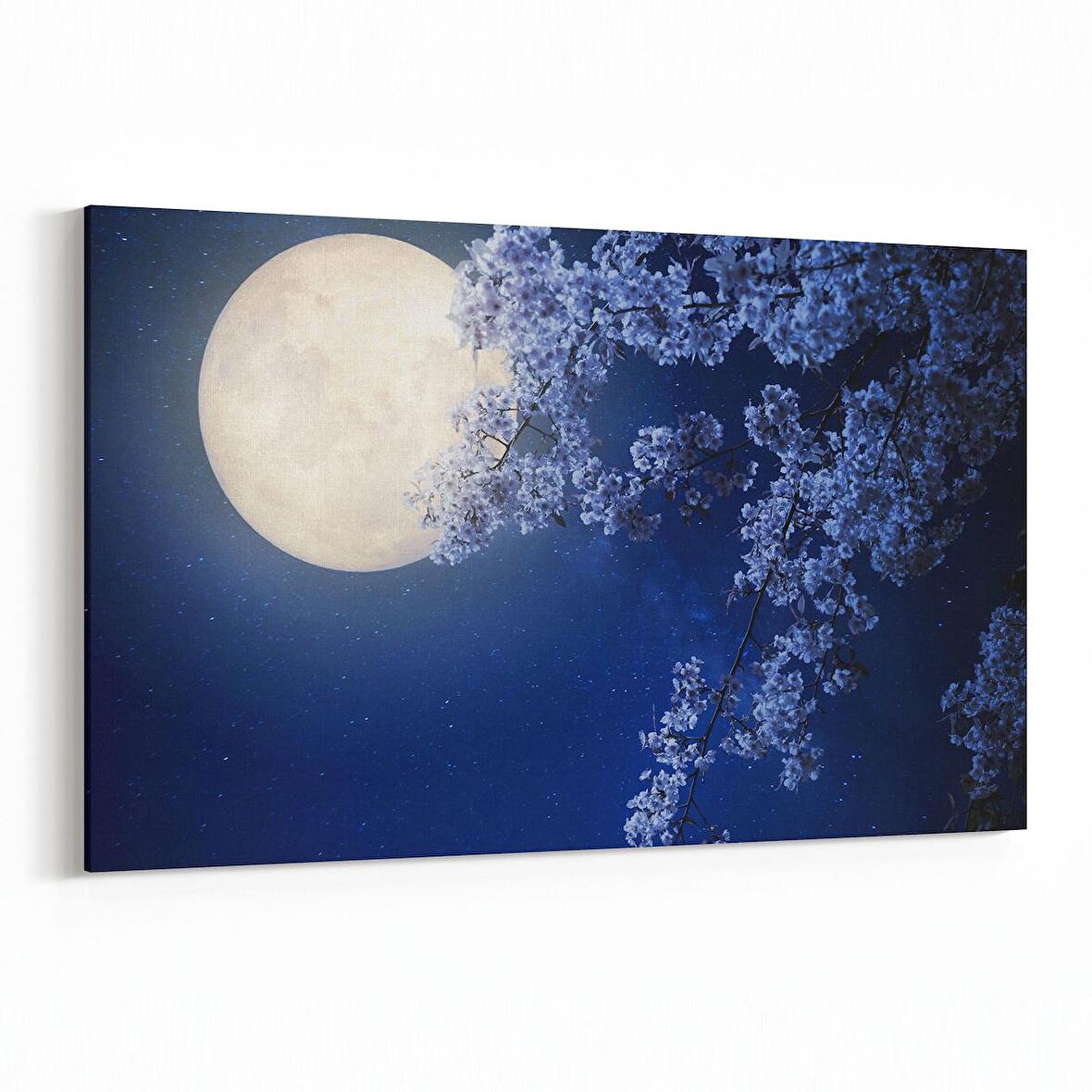 Olla 14767Y Gece Gökyüzü Görseli Yatay Kanvas Tablo (Ölçü: 150X100)